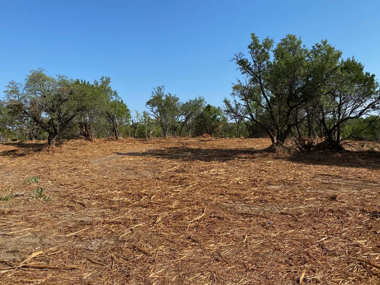 Land Clearing example